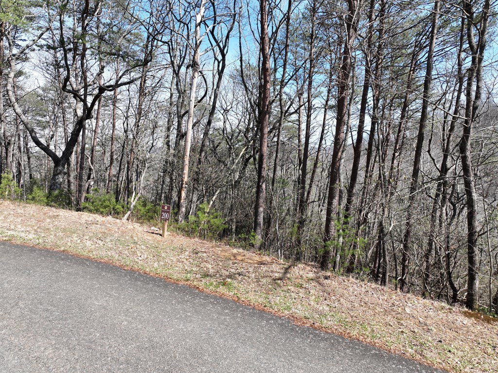 200 Stone Cliff Drive Property Photo 13