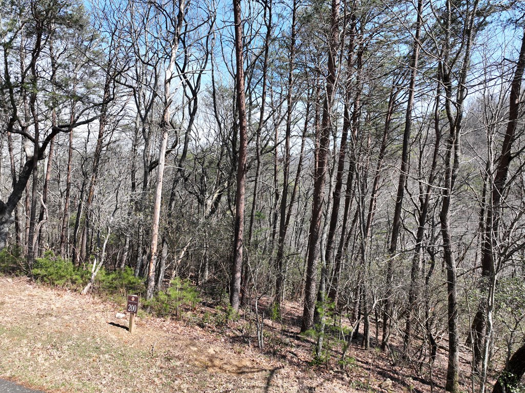 200 Stone Cliff Drive Property Photo 14