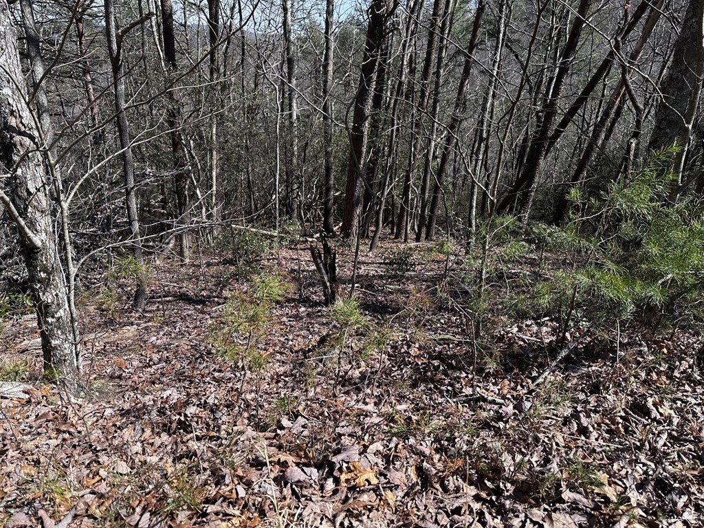 200 Stone Cliff Drive Property Photo 15