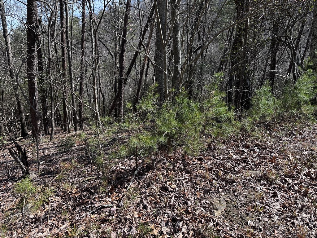 200 Stone Cliff Drive Property Photo 16