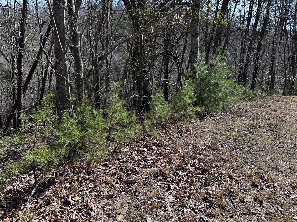 200 Stone Cliff Drive Property Photo 17