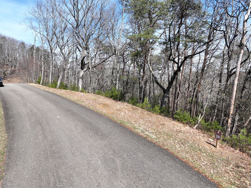 200 Stone Cliff Drive Property Photo 18