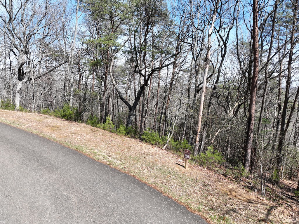 200 Stone Cliff Drive Property Photo 19