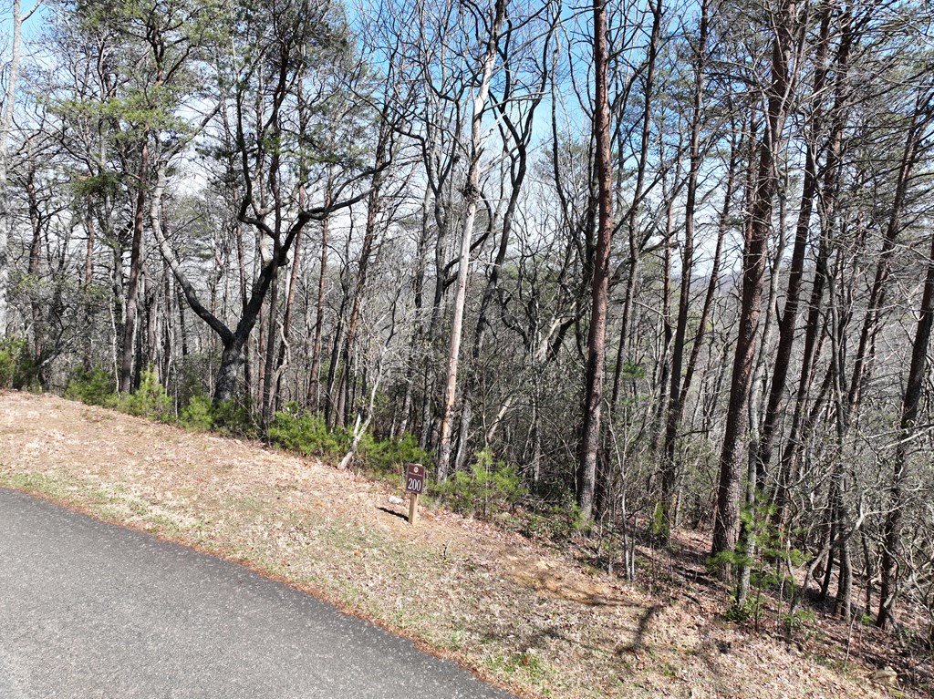 200 Stone Cliff Drive Property Photo 20