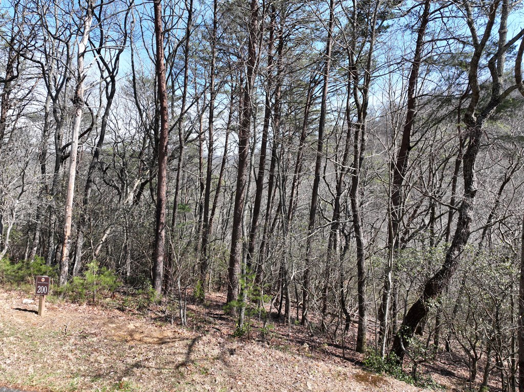 200 Stone Cliff Drive Property Photo 21