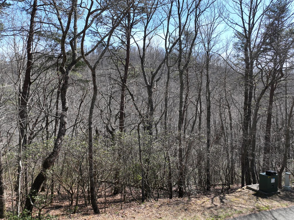 200 Stone Cliff Drive Property Photo 23