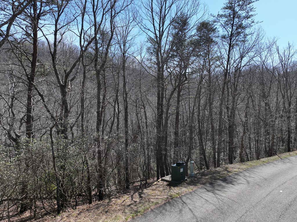 200 Stone Cliff Drive Property Photo 24