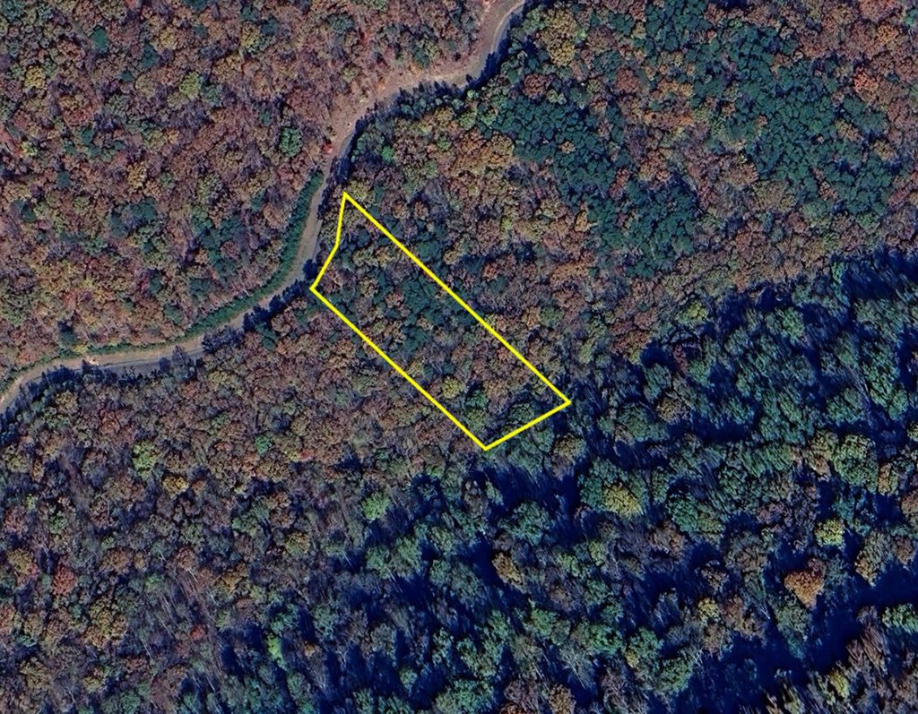 200 Stone Cliff Drive Property Photo 25