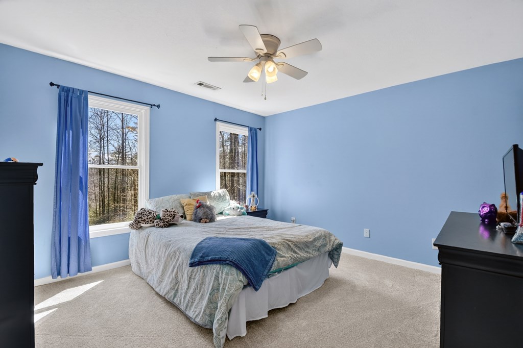 175 Mountain Springs Road Property Photo 33