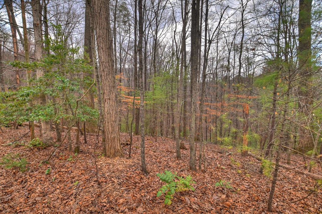 0 Ridge View Court Property Photo 6
