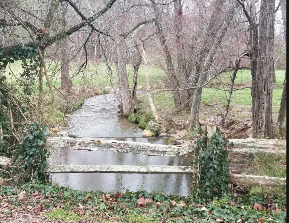 279 Conley Creek Circle Property Photo 2