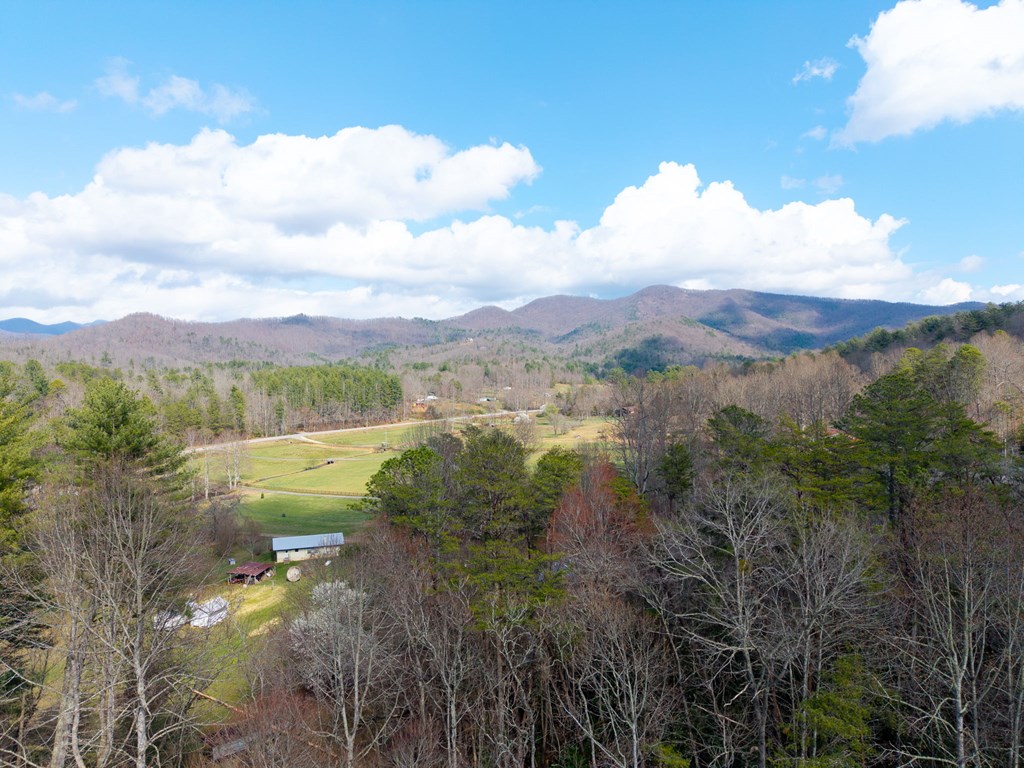1852 Deer Run Circle Property Photo 30