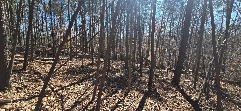 Tract 2 Friendship Trail Property Photo 9