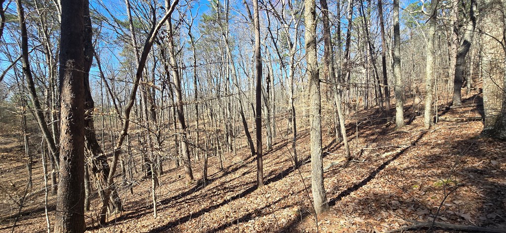 Tract 2 Friendship Trail Property Photo 10