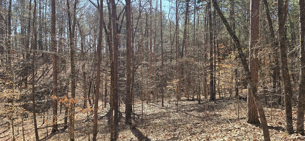 Tract 2 Friendship Trail Property Photo 11
