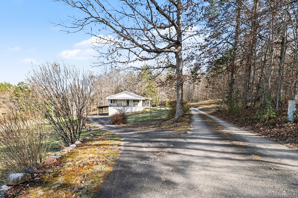 595 N Wildlife Trail Property Photo 4