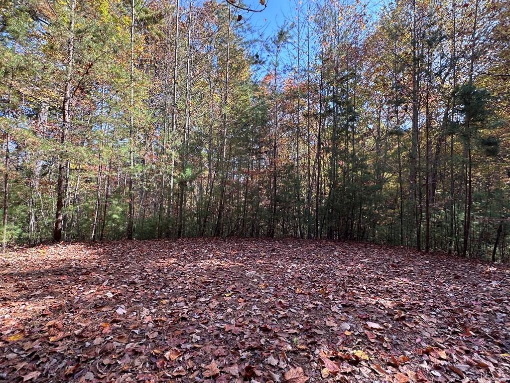 Tbd Atoah Loop Property Photo 1