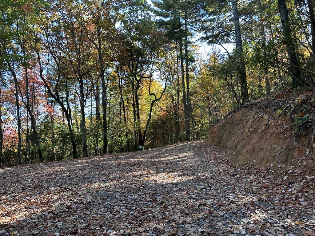 Tbd Atoah Loop Property Photo 2