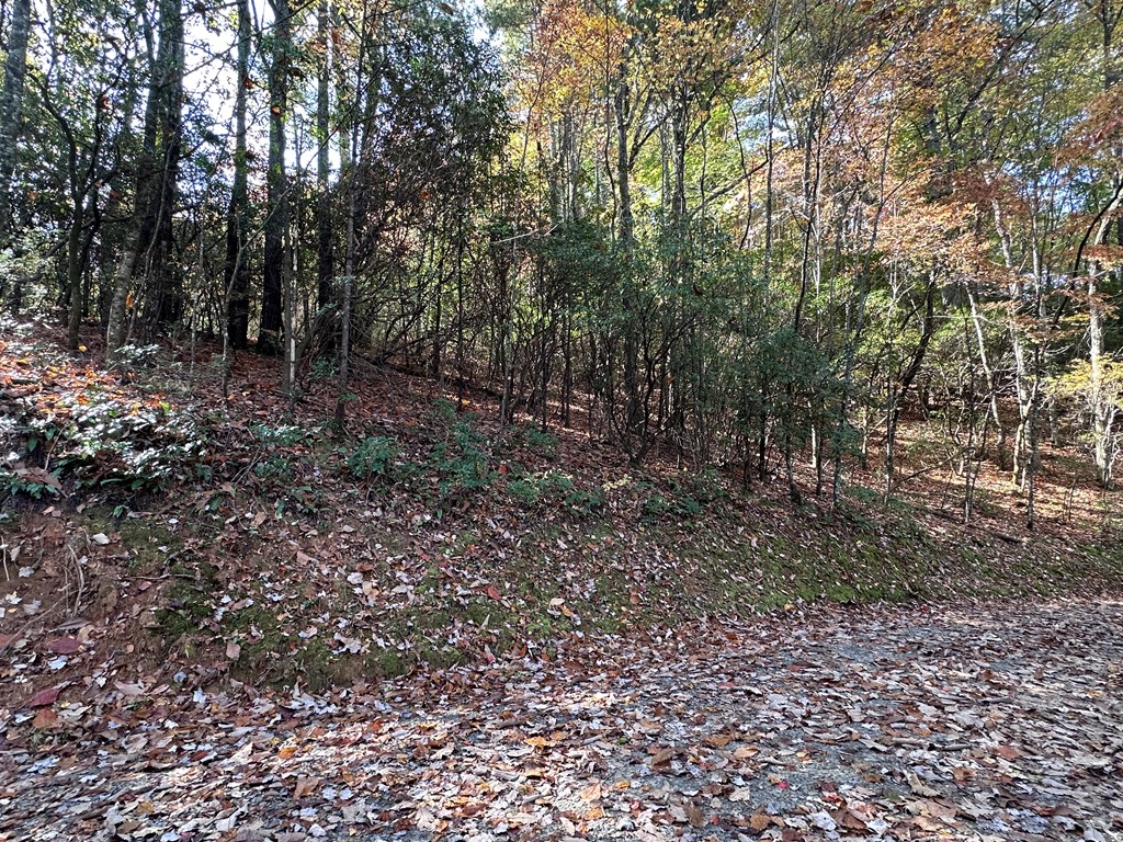 Tbd Atoah Loop Property Photo 4