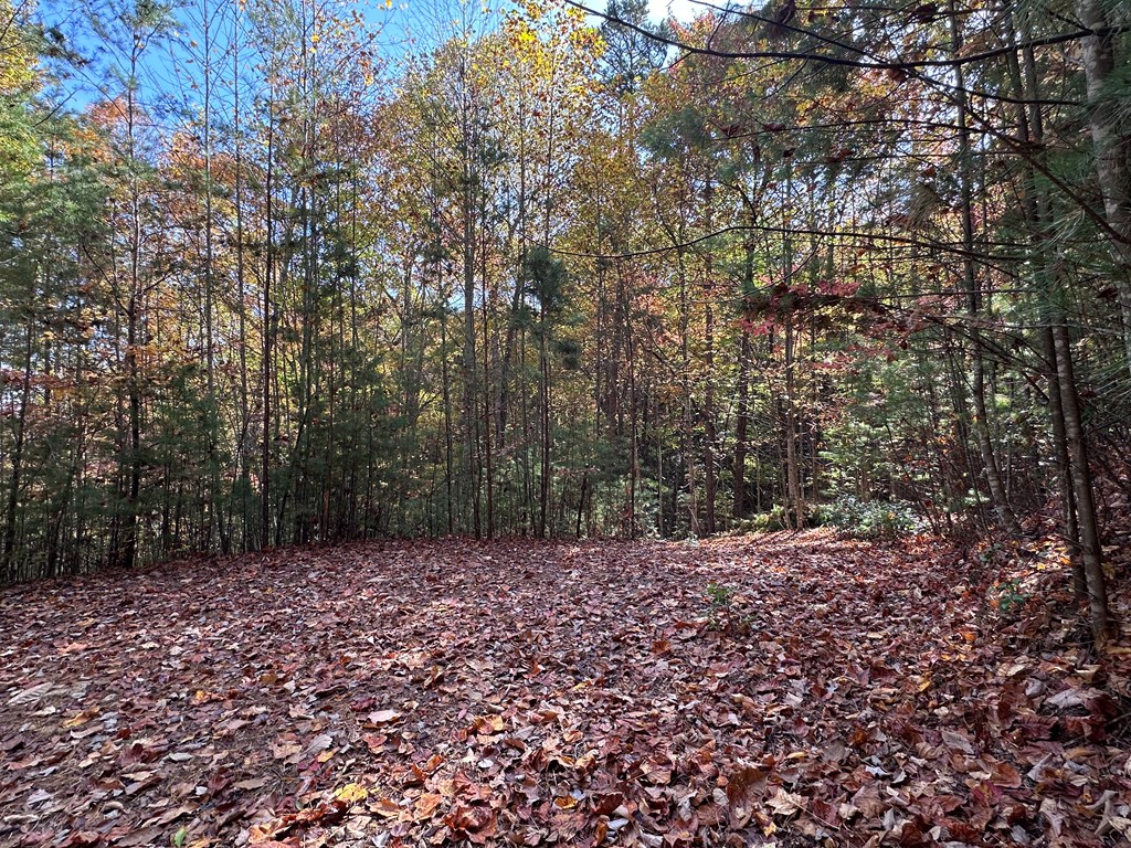 Tbd Atoah Loop Property Photo 5