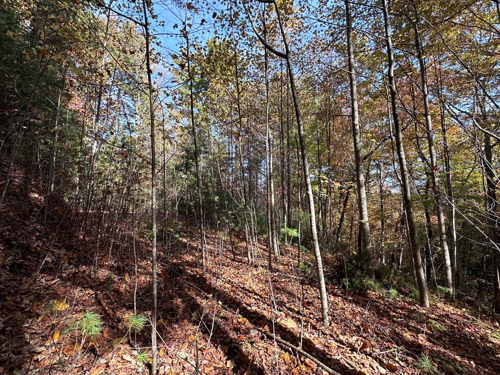Tbd Atoah Loop Property Photo 6