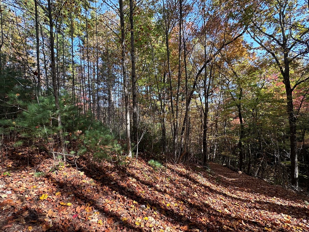Tbd Atoah Loop Property Photo 7