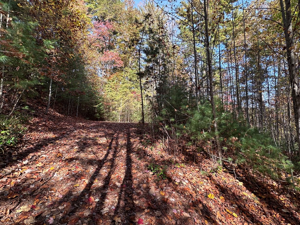 Tbd Atoah Loop Property Photo 8