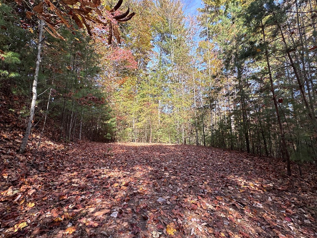 Tbd Atoah Loop Property Photo 9