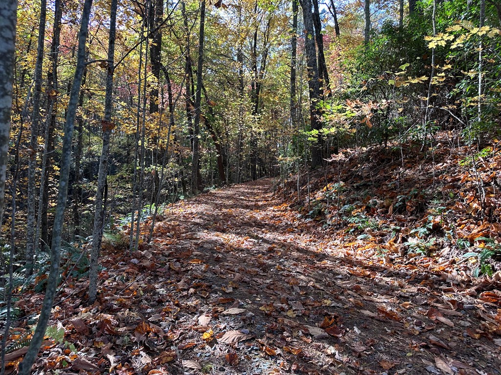 Tbd Atoah Loop Property Photo 10