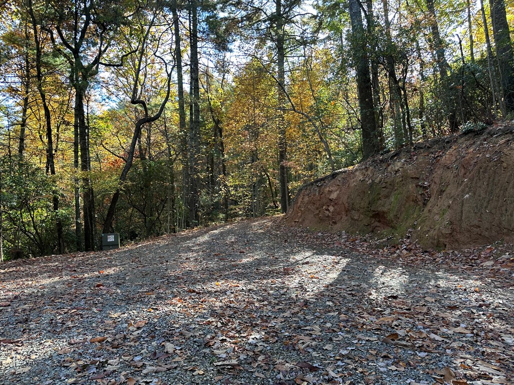 Tbd Atoah Loop Property Photo 11