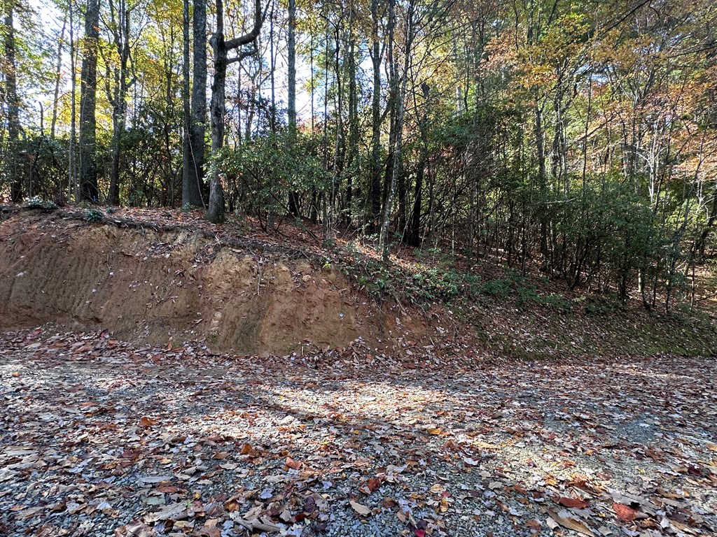 Tbd Atoah Loop Property Photo 12