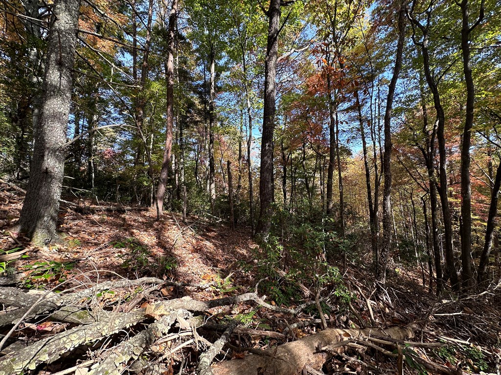 Tbd Atoah Loop Property Photo 13