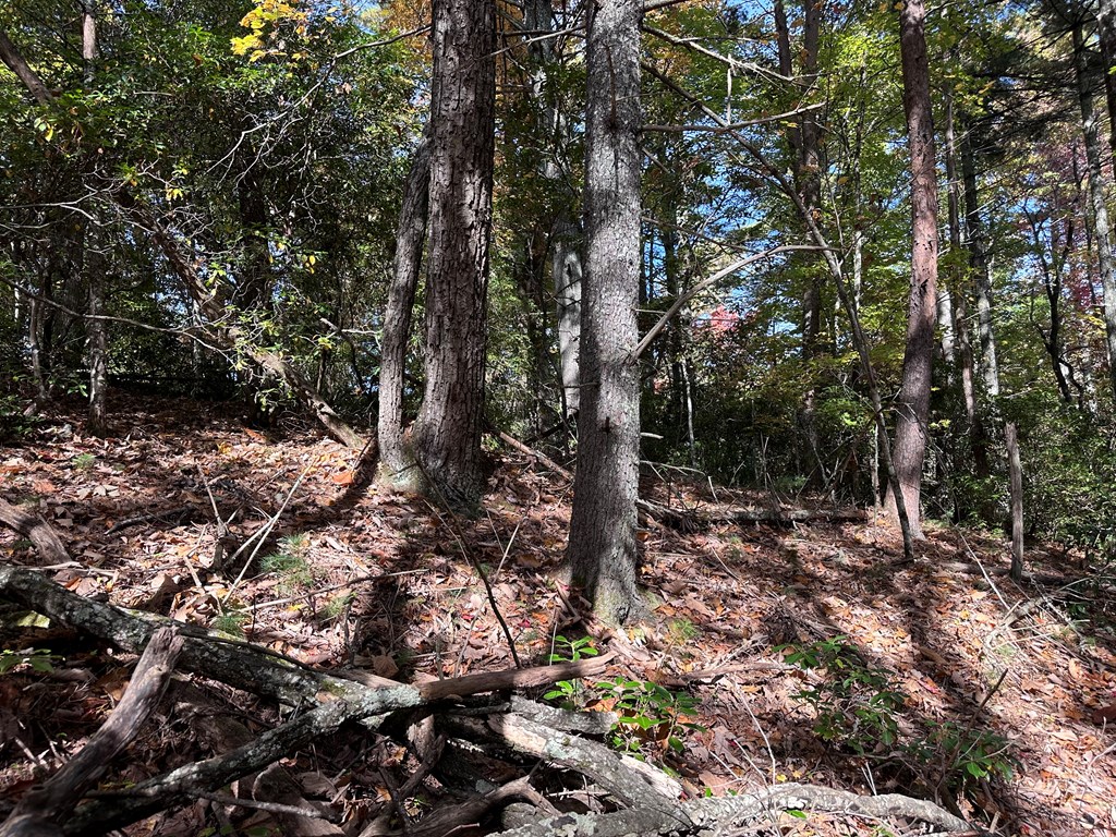 Tbd Atoah Loop Property Photo 14