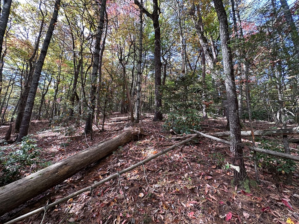 Tbd Atoah Loop Property Photo 15