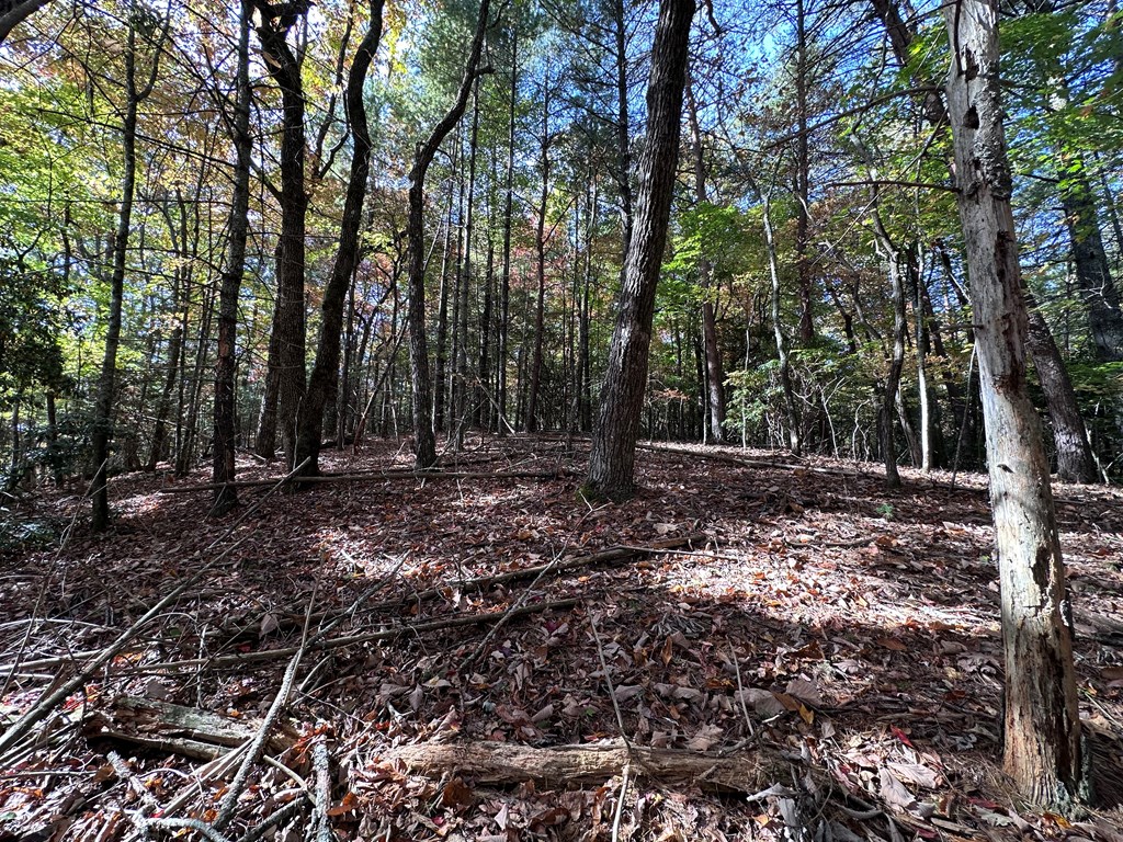Tbd Atoah Loop Property Photo 16