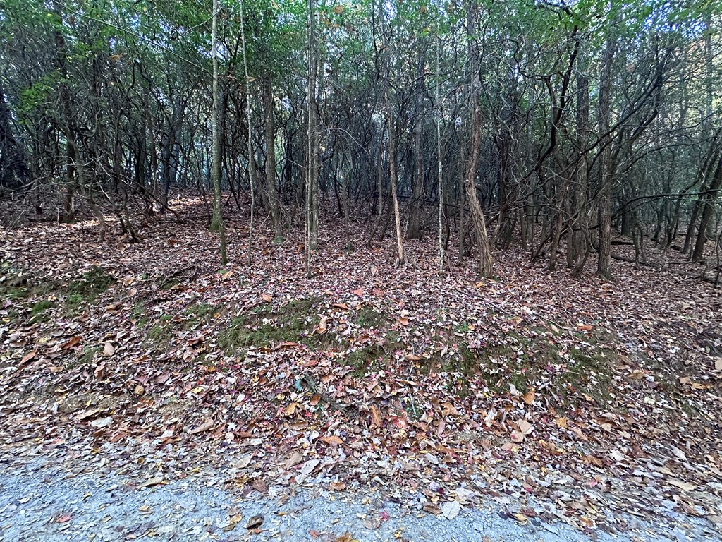 Tbd Atoah Loop Property Photo 18