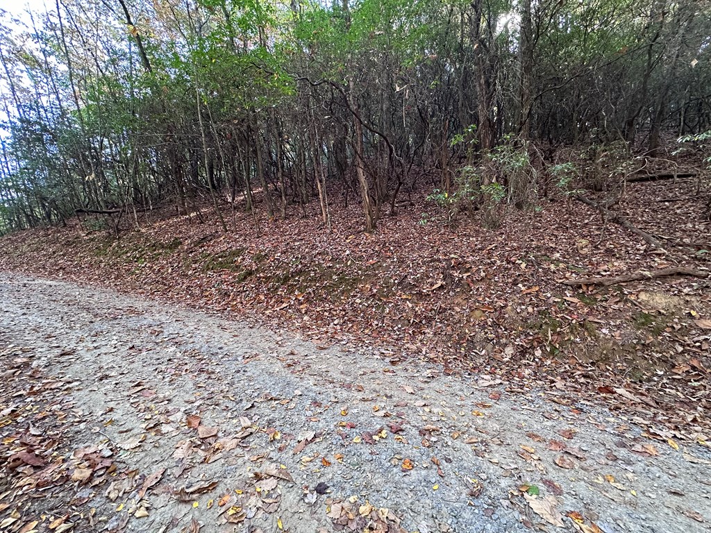 Tbd Atoah Loop Property Photo 19