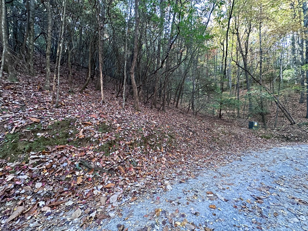Tbd Atoah Loop Property Photo 20
