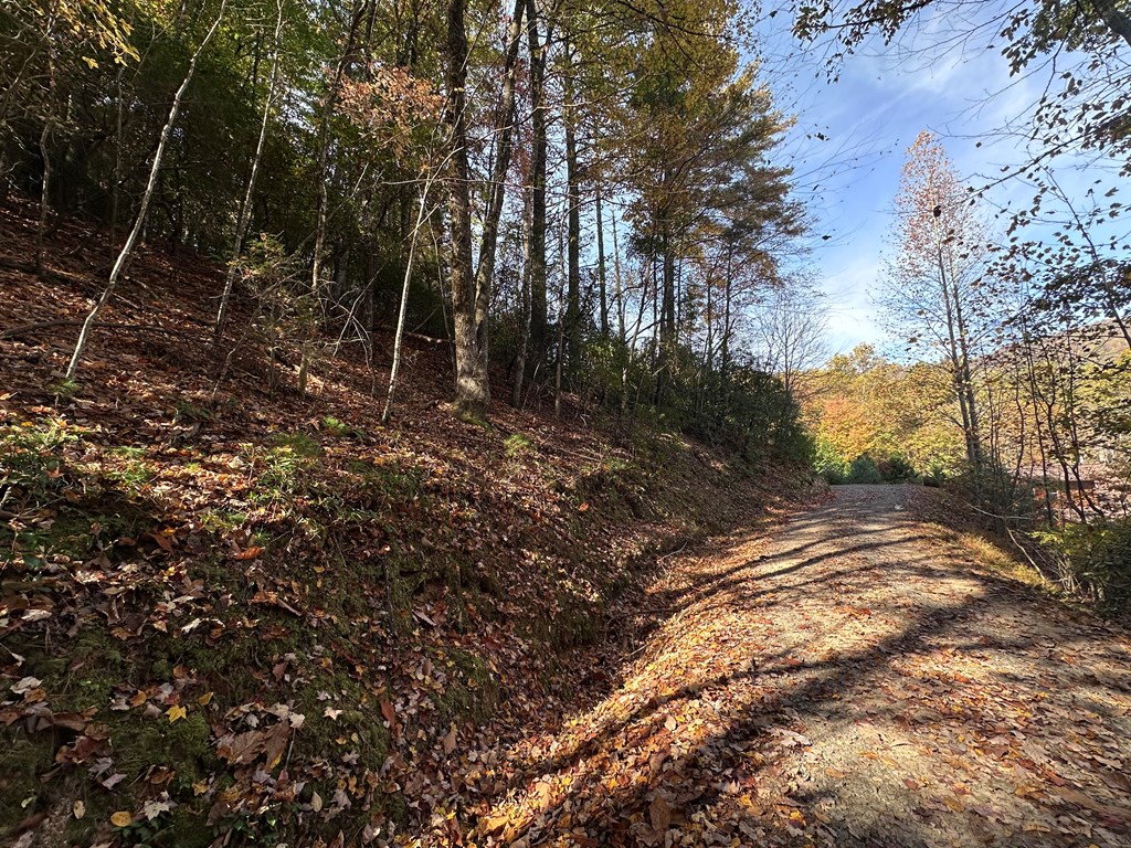 Tbd Atoah Loop Property Photo 21
