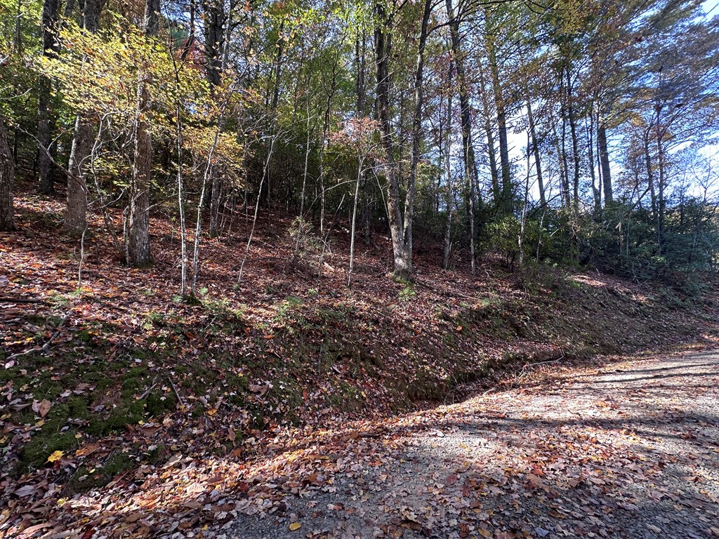 Tbd Atoah Loop Property Photo 22