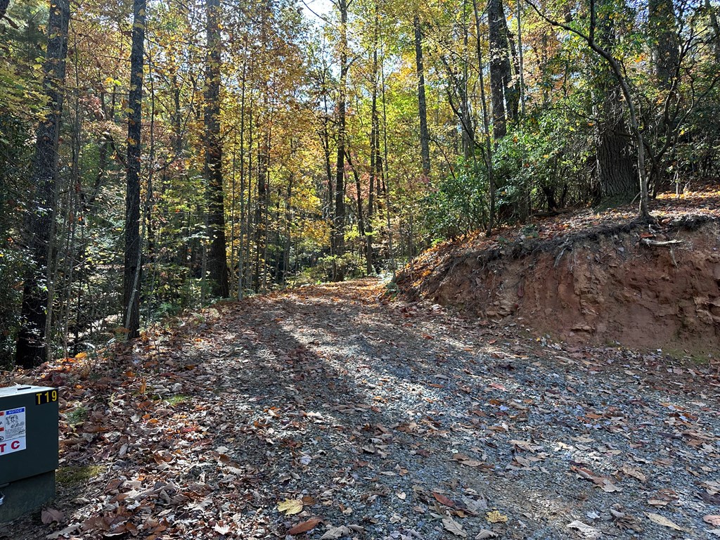 Tbd Atoah Loop Property Photo 23