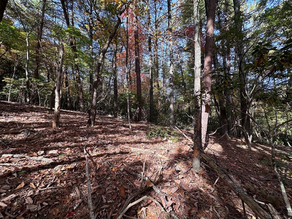 Tbd Atoah Loop Property Photo 24