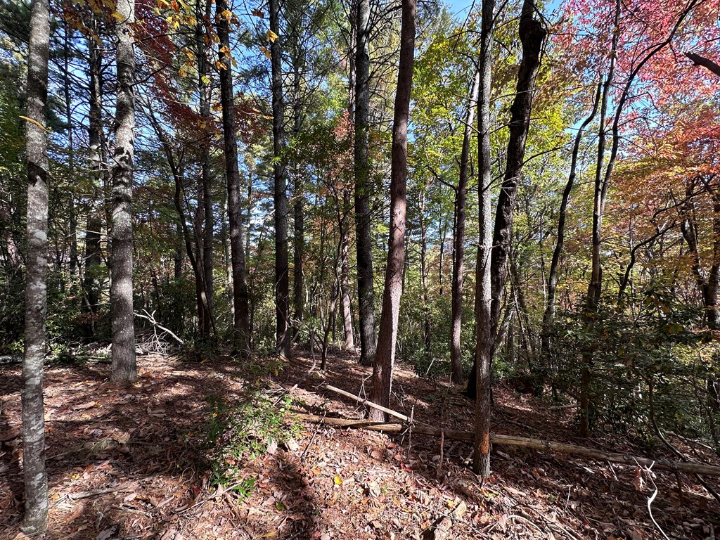 Tbd Atoah Loop Property Photo 25