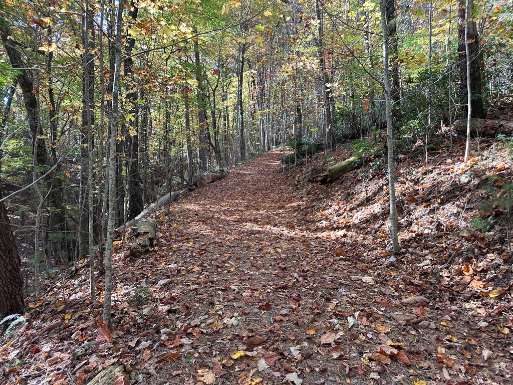 Tbd Atoah Loop Property Photo 26
