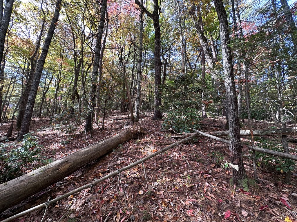 Tbd Atoah Loop Property Photo 27
