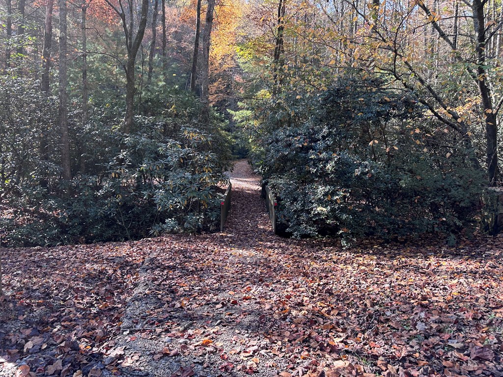 Tbd Atoah Loop Property Photo 28