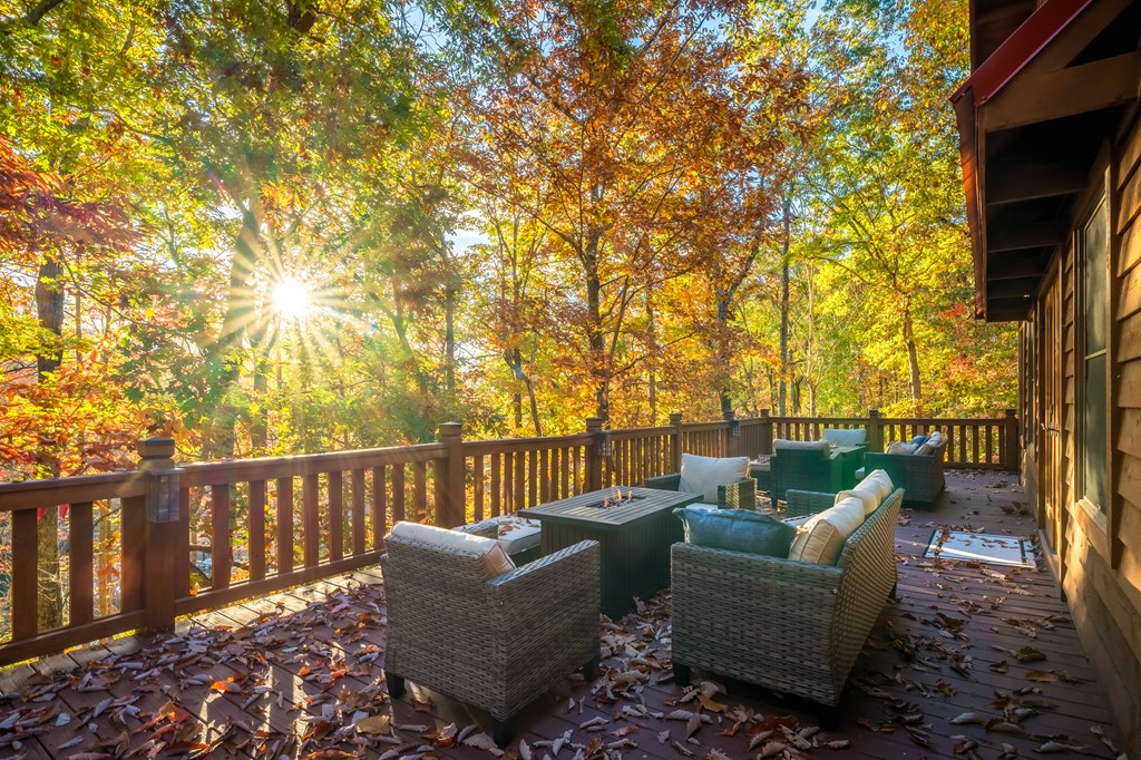 218 Mattie Mitchell Road Property Photo 12