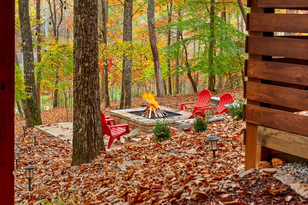 218 Mattie Mitchell Road Property Photo 79