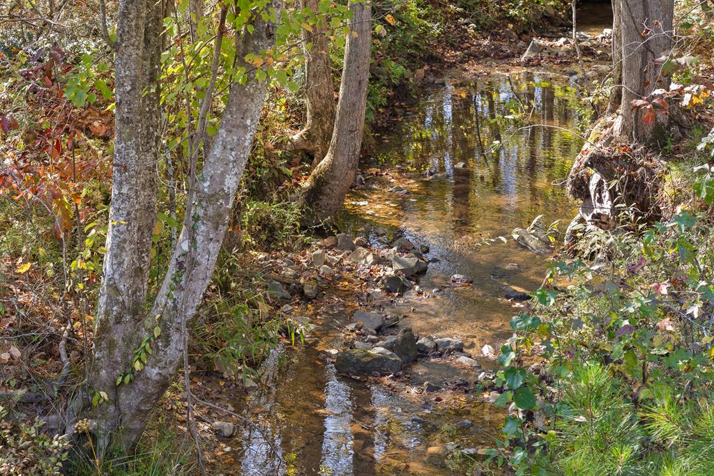 Lot 334 Twisted Oak Road Property Photo 6