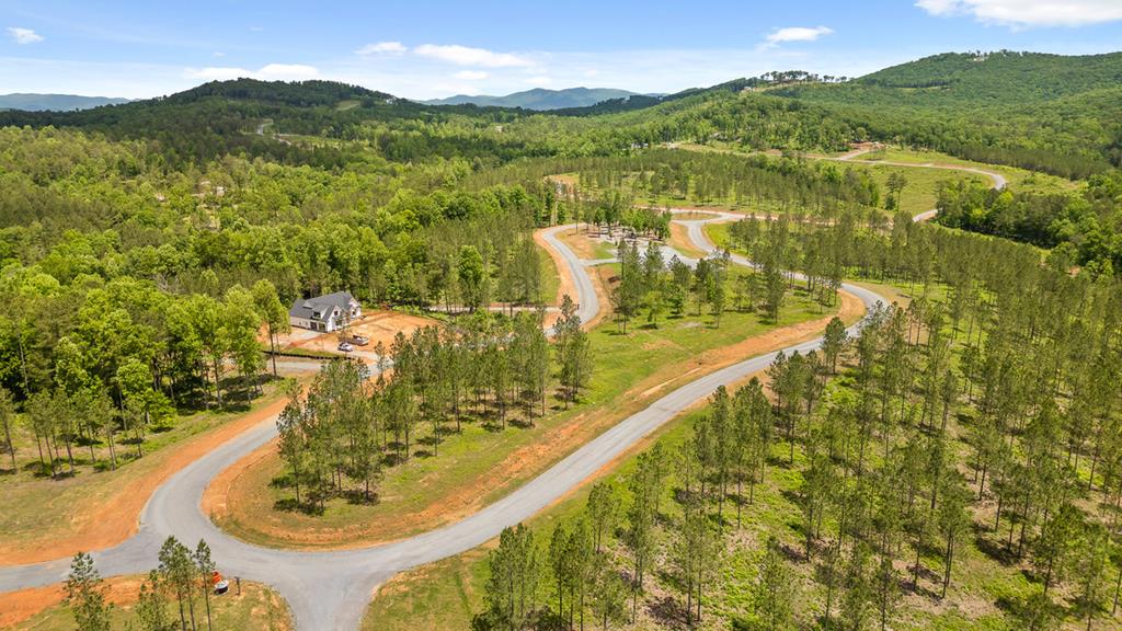 Lot 334 Twisted Oak Road Property Photo 8